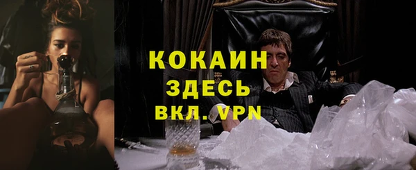 твердый Каменка