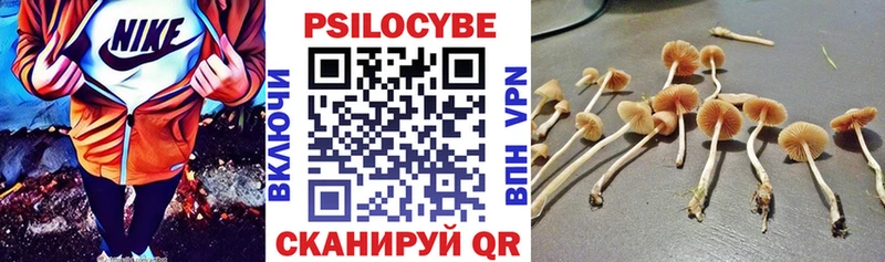 Галлюциногенные грибы мухоморы  Брюховецкая 